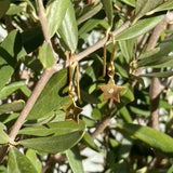 Astra - Mymosaa