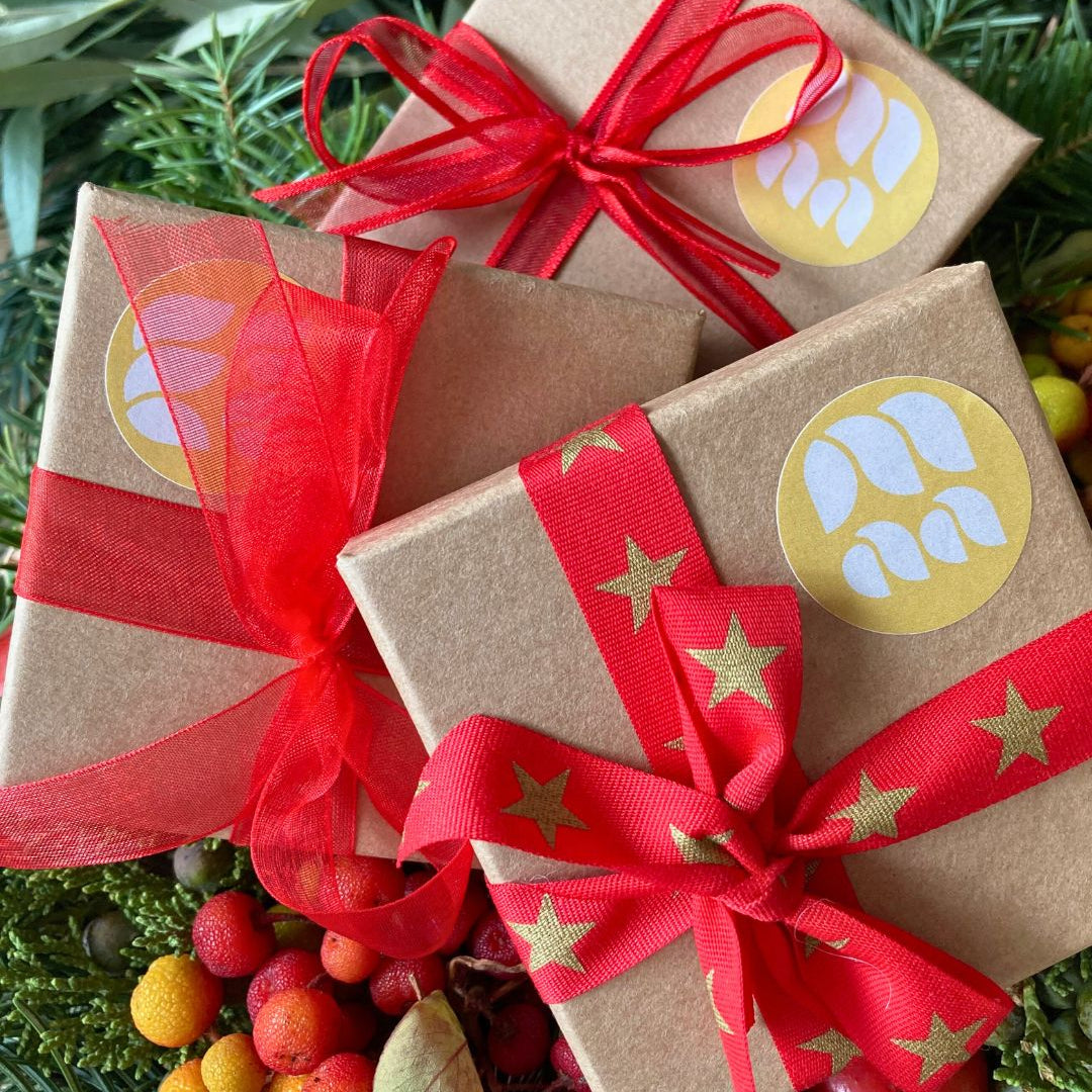 Cadeaux_de_Noel_Mymosaa_sur_sapin_et__fleurs_de_Noel-2