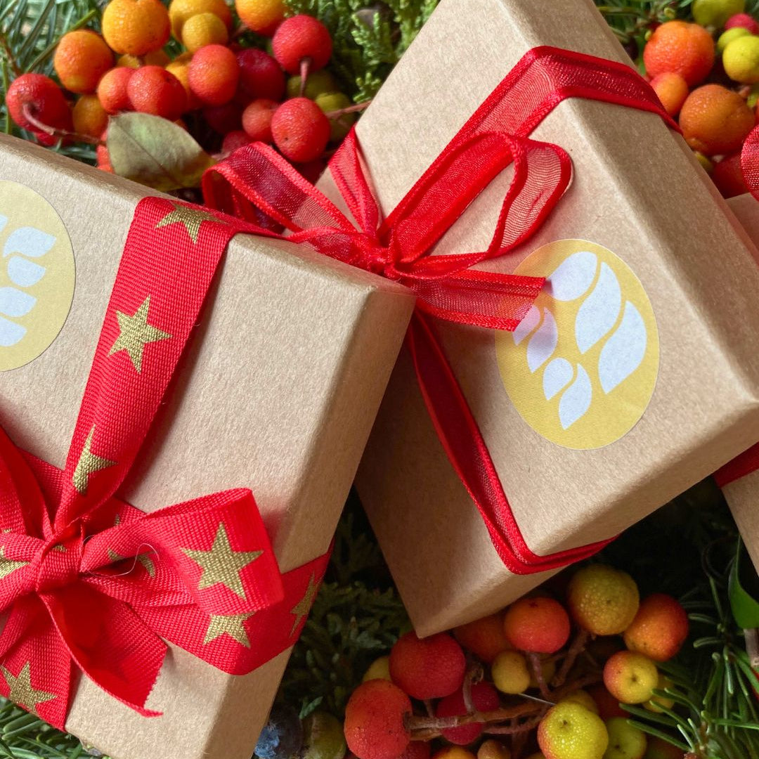 Cadeaux_de_Noel_Mymosaa_sur_sapin_et__fleurs_de_Noel